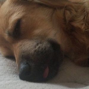 Meet your Posher, Colette